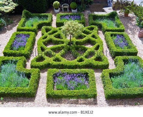 tudor knot garden|tudor knot garden ideas.